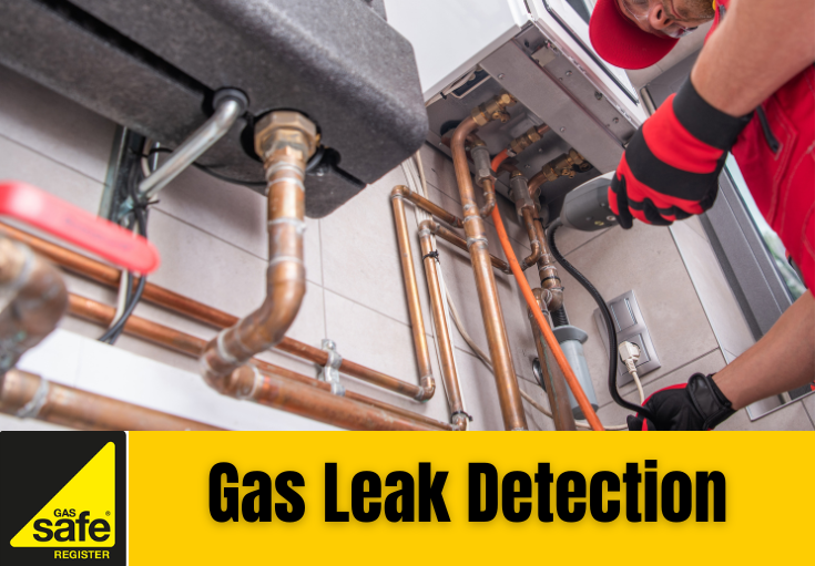 gas leak detection Deal