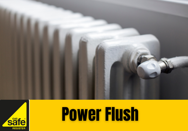 power flush Deal